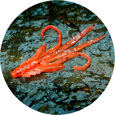 Redbass gumová nástraha nymfa orange g - s 53 mm