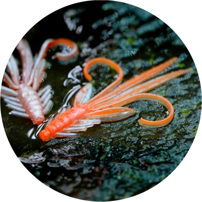 Redbass gumová nástraha nymfa orange/silver uv - s 53 mm