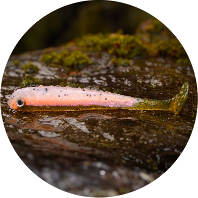 Redbass gumová nástraha ripper swimmer slim rainbow trout uv - xl 125 mm