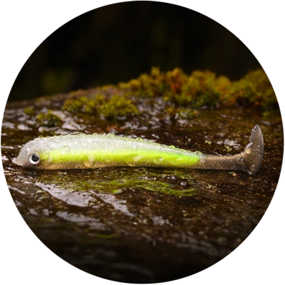 Redbass gumová nástraha ripper swimmer slim gold fish uv - s 70 mm